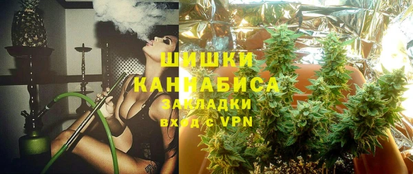 бошки Белокуриха